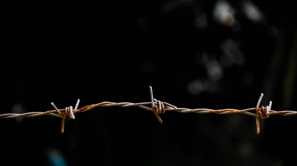 Cerca Arame Farpado Velho Com Ferrugem Fundo Preto — Fotografia de Stock