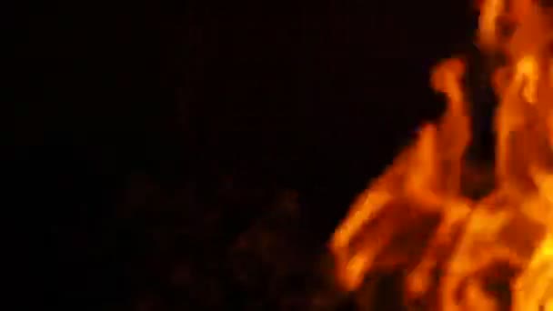 濃い黒の背景にオレンジの炎が浮かび上がり — ストック動画