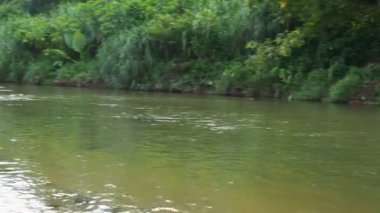 Tayland kırsalında orta büyüklükte bir baraj. Kırsal bölgelerdeki kanalları küçük barajlar tıkıyor