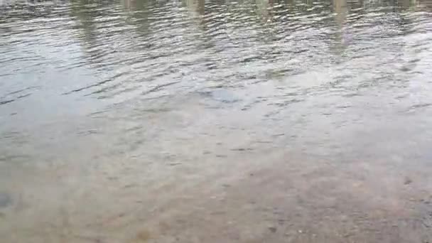 Mittelgroßer Staudamm Ländlichen Thailand Kleine Dämme Blockieren Kanäle Ländlichen Raum — Stockvideo
