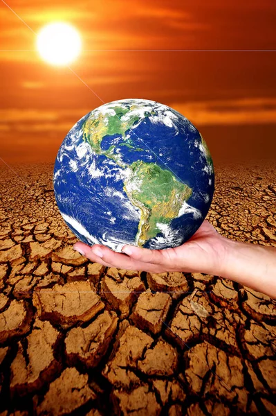 Trees Die Cracked Soil Drought Global Warming Environment Concept — Stock Photo, Image