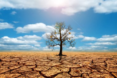 Küresel ısınma yüzünden kurak topraklarda eriyen toprak çatlakları. Çevre koruma ve küresel ısınmayı azaltma kavramı