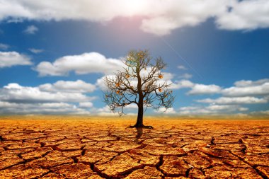Küresel ısınma yüzünden kurak topraklarda eriyen toprak çatlakları. Çevre koruma ve küresel ısınmayı azaltma kavramı