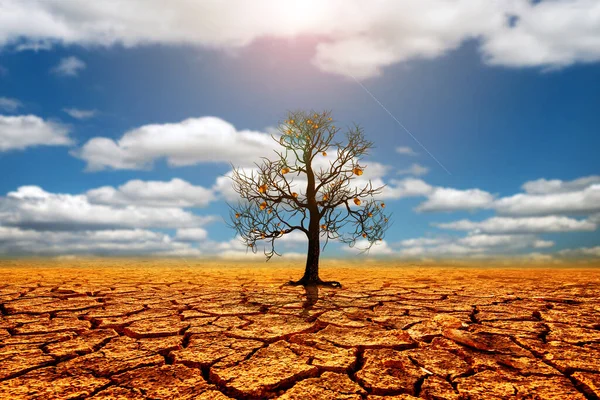 地球温暖化による乾燥した土壌の亀裂で溶ける地球 環境保全と地球温暖化防止の概念は — ストック写真