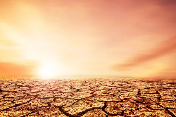 Earth Melts Arid Soils Cracks Due Global Warming Concept Environmental — Stock Photo, Image