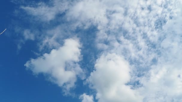 Хмари Небо Абстрактний Фон Концепція Природи — стокове відео
