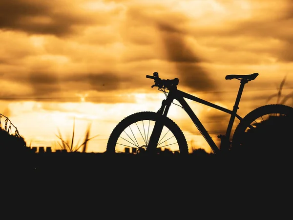 Das Mountainbike Parkte Abends Auf Der Wiese Fahrradsilhouette — Stockfoto