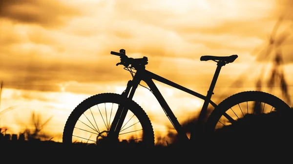 Mountain Bike Parked Meadow Evening Bicycle Silhouette — Stock Photo, Image