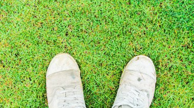 Yeşil çimenlikteki ayakların üst görüntüsü 