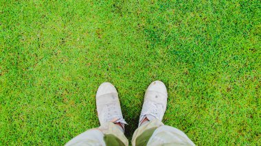Yeşil çimenlikteki ayakların üst görüntüsü 