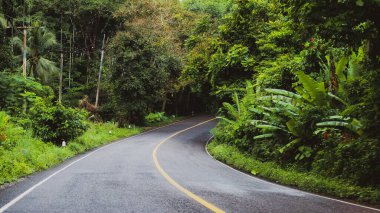 Gündüz vakti ormanda yol bomboş.