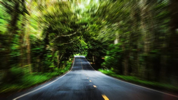 Motion Blur Road Forest Speed Concept — Stock Photo, Image