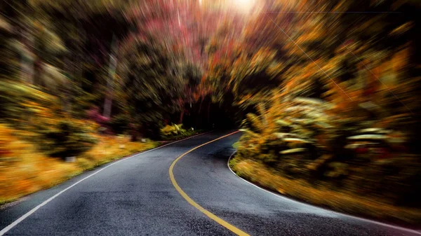 Motion Blur Road Forest Speed Concept — Stock Photo, Image