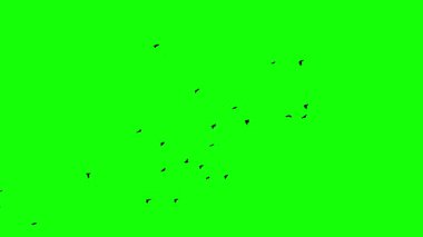 Açık yeşil vektör arkaplanı ve çokgen tarzı. Renkli üçgenleri ve daireleri olan çizimler. Desen. Reklamlar için şablon.