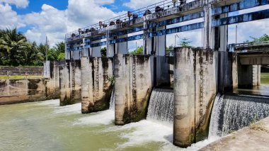Bereketli bir sanayi barajı. Dalgalı mavi bir gökyüzü altında akan sular ve tropikal bir çevrede yemyeşil..