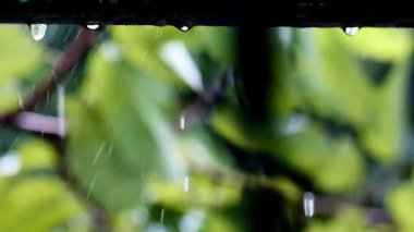 Bardağa su damlıyor.