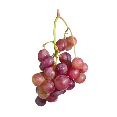 * * Beyaz arka planda izole edilmiş, yiyecek ve içecek tasarımı projeleri için mükemmel bir demet taze kırmızı üzüm.