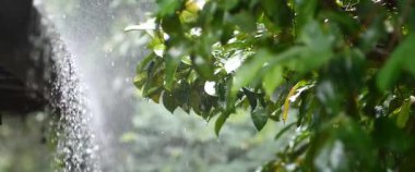 Cama yağmur damlaları düşer.