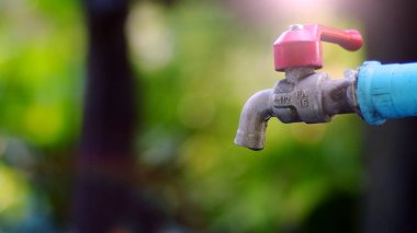 Kırmızı saplı, yemyeşil zemin üzerine kurulmuş, doğal güneş ışığıyla aydınlatılmış bir musluğun ayrıntılı görüntüsü..