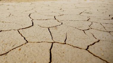Topraktaki kuru toprak.