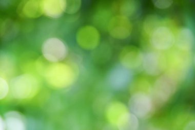 Soyut yeşil bokeh doğa arka plan