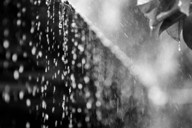 Sanatsal siyah-beyaz fotoğraf, su damlacıklarını güzel bir bokeh efektiyle yakalıyor, sakin ve soyut bir atmosfer yaratıyor..