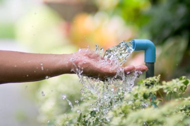 Bahçeyi yeşil bitkilerle suluyorlar..