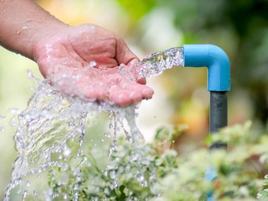 Bahçedeki bitkileri sulayan adam.