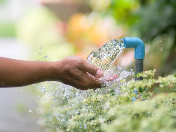Asyalı bir kadın bahçede yeşil yaprakla su yıkıyor.