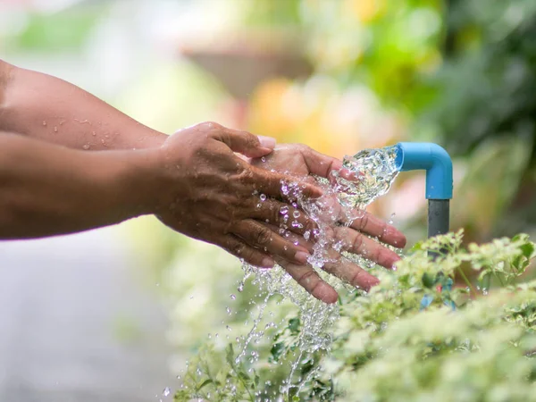 Bahçeyi sulayan kadın..