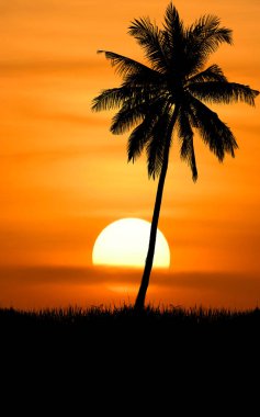 Arka planda palmiye ağaçları ve güneş silueti var..