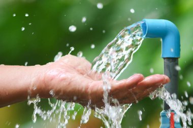 Yeşil yapraklı teneke kutu