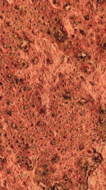 Kırmızı kaya yüzeyinin detaylı görüntüsü doğal dokuları ve jeolojik oluşumları gösteriyor..