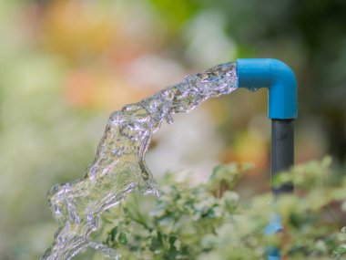 Berrak bir bahçedeki mavi bir PVC borusundan temiz su akıntıları, doğa ve su tesisatını gözler önüne seriyor..