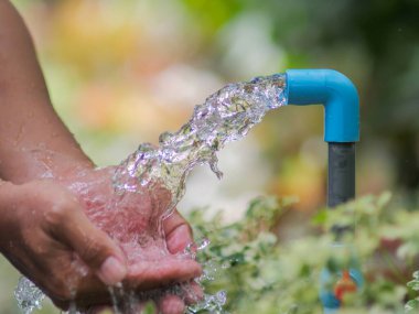 * * Mavi bir musluğun akan bir derenin altında, yemyeşil sularla çevrili eller yıkanır.