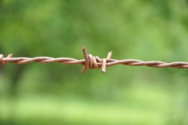 Eski paslı dikenli teller, arka plan bulanık doğa. seçici odak