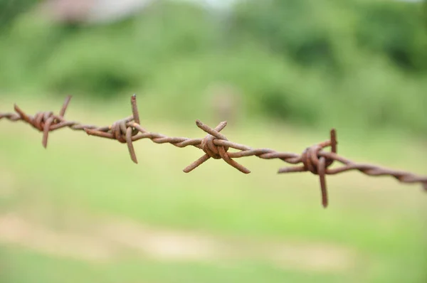 Old Rusty Barbed Wire Fence Background Blurred Nature Selective Focus — Stock Photo, Image