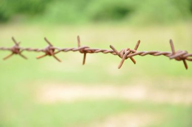 Eski paslı dikenli tel örgü arka planı doğayı bulanıklaştırdı. seçici odak