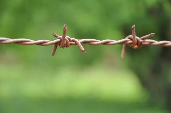 Old Rusty Barbed Wire Fence Background Blurred Nature Selective Focus — Stock Photo, Image