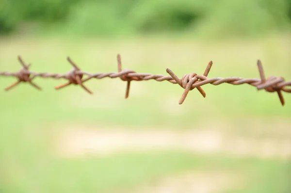 Old Rusty Barbed Wire Fence Background Blurred Nature Selective Focus — Stock Photo, Image