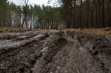 Baharın başında, çıplak ağaçlar ve yeşil köknar ağaçlarıyla dolu bir arka planda yağmurdan sonra çamurlu toprak yol. Off-road, vahşi asfaltsız patika