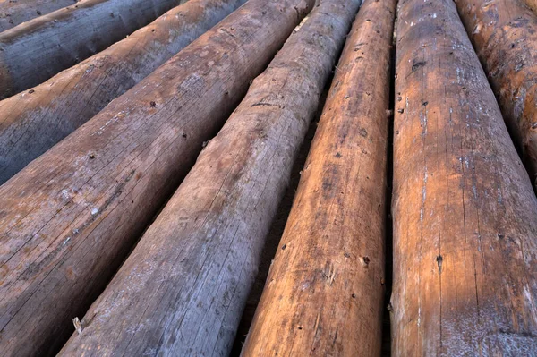 Velké Dřevěné Klády Stavbu Pokácené Kmeny Stromů Velkém Počtu Koncept — Stock fotografie