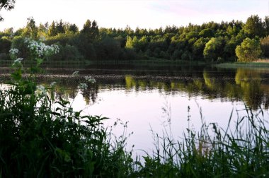 Güzel, güneşli bir yaz manzarası, sakin bir nehir, ağaçlar ve diğer taraftaki ağaçlık bankalar. Mavi gökyüzü ve sudaki yansıma. Kimse yok.