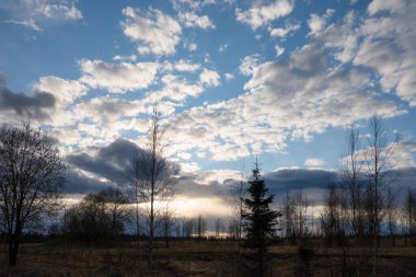 Akşamları mavi gökyüzü beyaz bulutlarla kaplanır. Koyu renk ağaç siluetleri ve çalılar. Gün batımında akşam manzarası