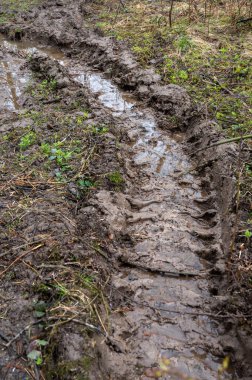 İlkbaharın başında yağmurdan sonra çamurlu toprak yol. Off-road, vahşi asfaltsız patika