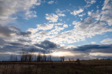 Akşamları mavi gökyüzü beyaz bulutlarla kaplanır. Koyu renk ağaç siluetleri ve çalılar. Gün batımında akşam manzarası
