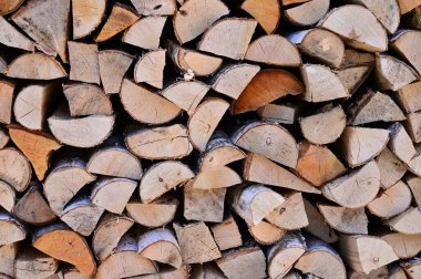 Kış için yakacak odun hazırlıyorum. Huş ağacından yapılmış bir odun yığını. Odun yığınları. Uzayı kopyala Yakacak odun arka planı