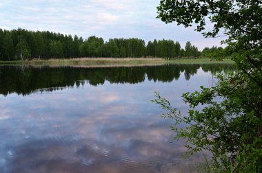 Gökyüzünde pembe bulutlar, sakin sulara yansıyan nehrin üzerinde harika bir gün doğumu. Sabahın erken saatlerinde resimli bir manzara. Yaratıcı bir imaj. Doğa kavramı, yaz, seyahat