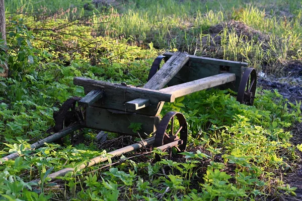 Kollapsade Trasiga Vagn Grönt Gräs Ett Gammalt Fordon Ett Forntida — Stockfoto