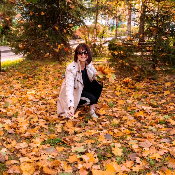 Привлекательная Брюнетка Держит Красочные Кленовые Листья Леди Наслаждается Осенней Природой — стоковое фото